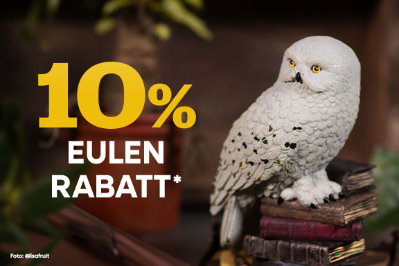 Weiße Schneeeule sitzt auf einem Stapel alter Bücher in einer gemütlich-dunklen Umgebung. Text: 10 % Eulen-Rabatt. Foto: @lisafruit