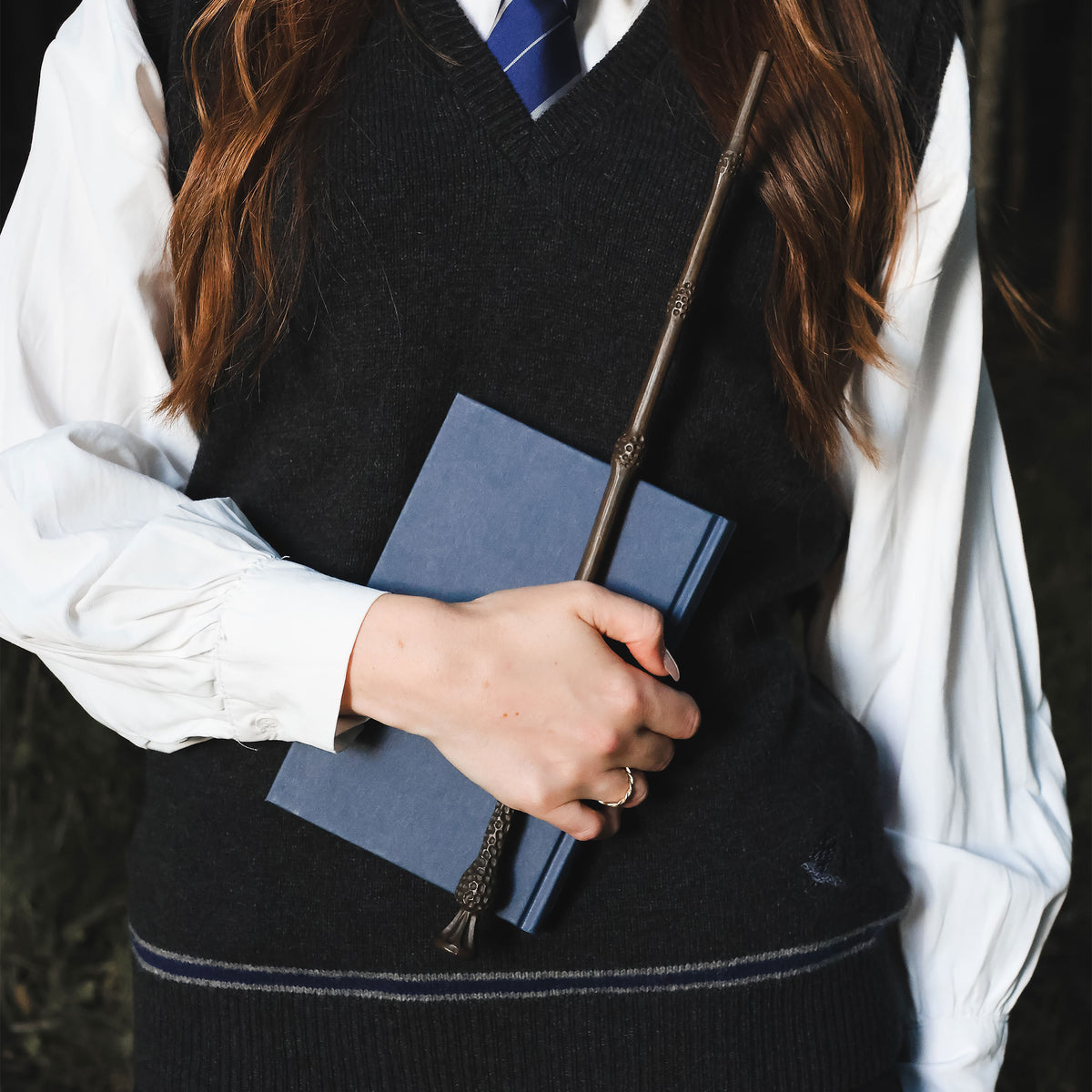 Produktbild Harry Potter - Ravenclaw Pullunder