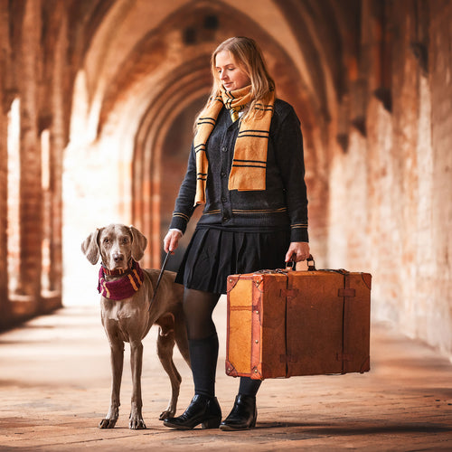 Produktbild Harry Potter - Original Hufflepuff Wollschal