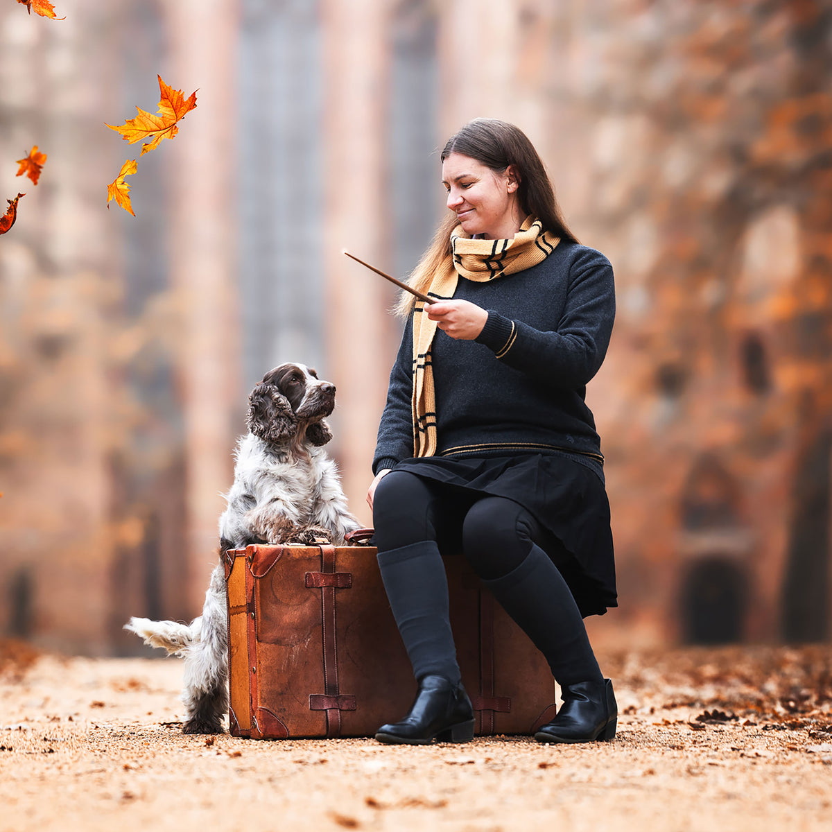Produktbild Harry Potter - Original Hufflepuff Wollschal