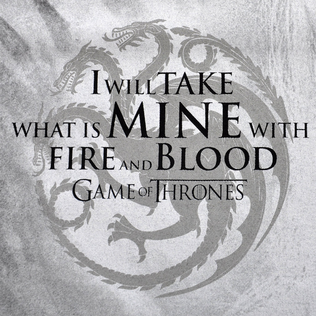 Produktbild Game of Thrones - Daenerys Fire and Blood T-Shirt