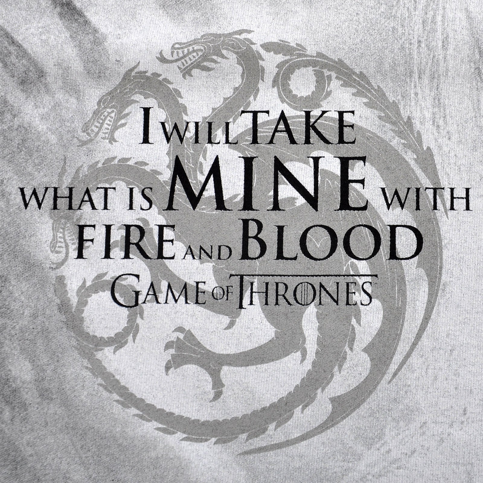 Produktbild Game of Thrones - Daenerys Fire and Blood T-Shirt