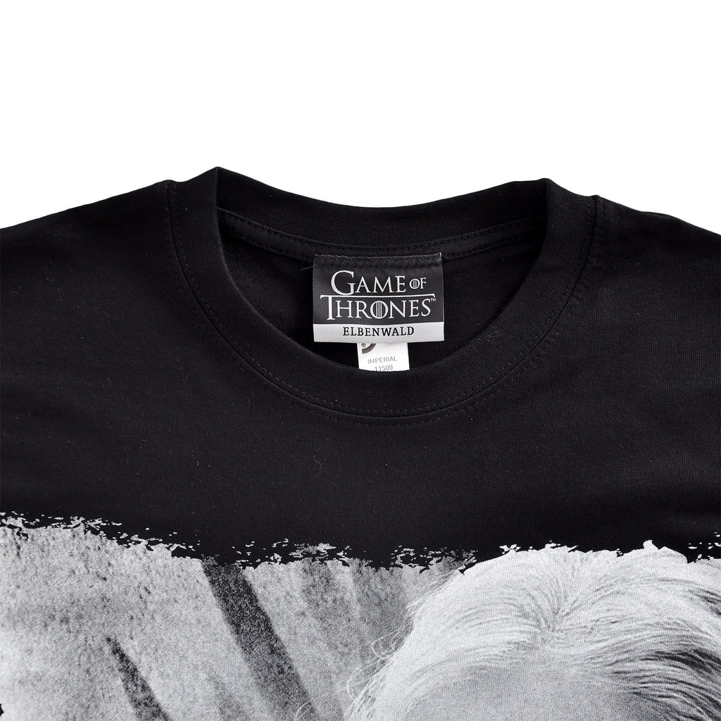 Produktbild Game of Thrones - Daenerys Fire and Blood T-Shirt