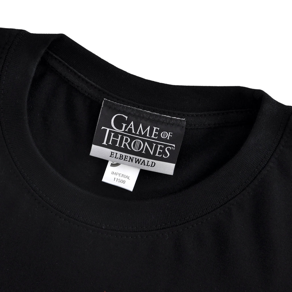 Produktbild Game of Thrones - The North Remembers T-Shirt