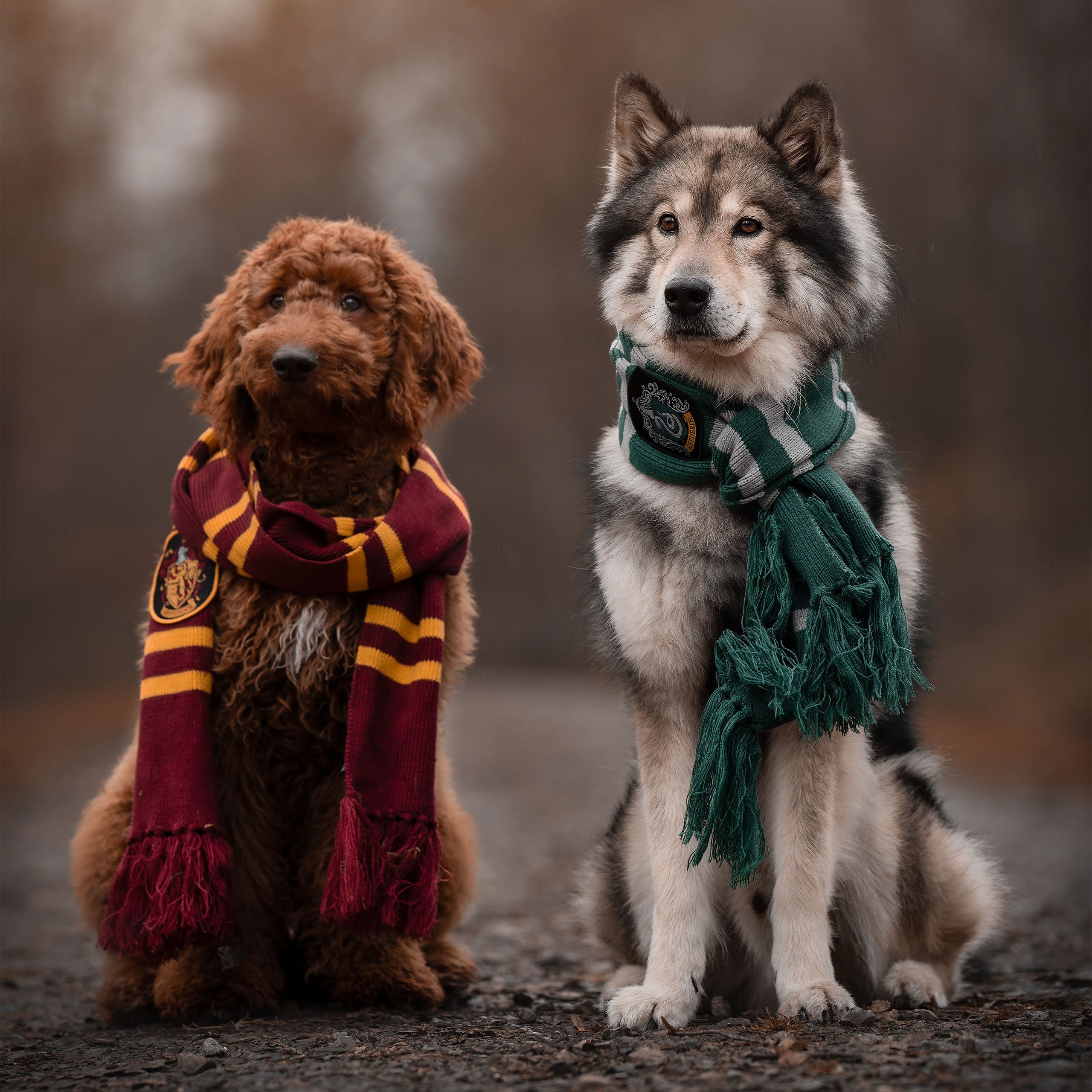 Produktbild Harry Potter - Slytherin Strickschal grau-grün