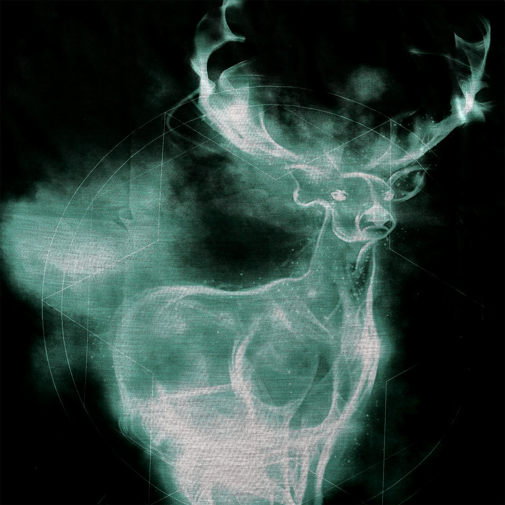 Produktbild Harry Potter - Patronus T-Shirt schwarz
