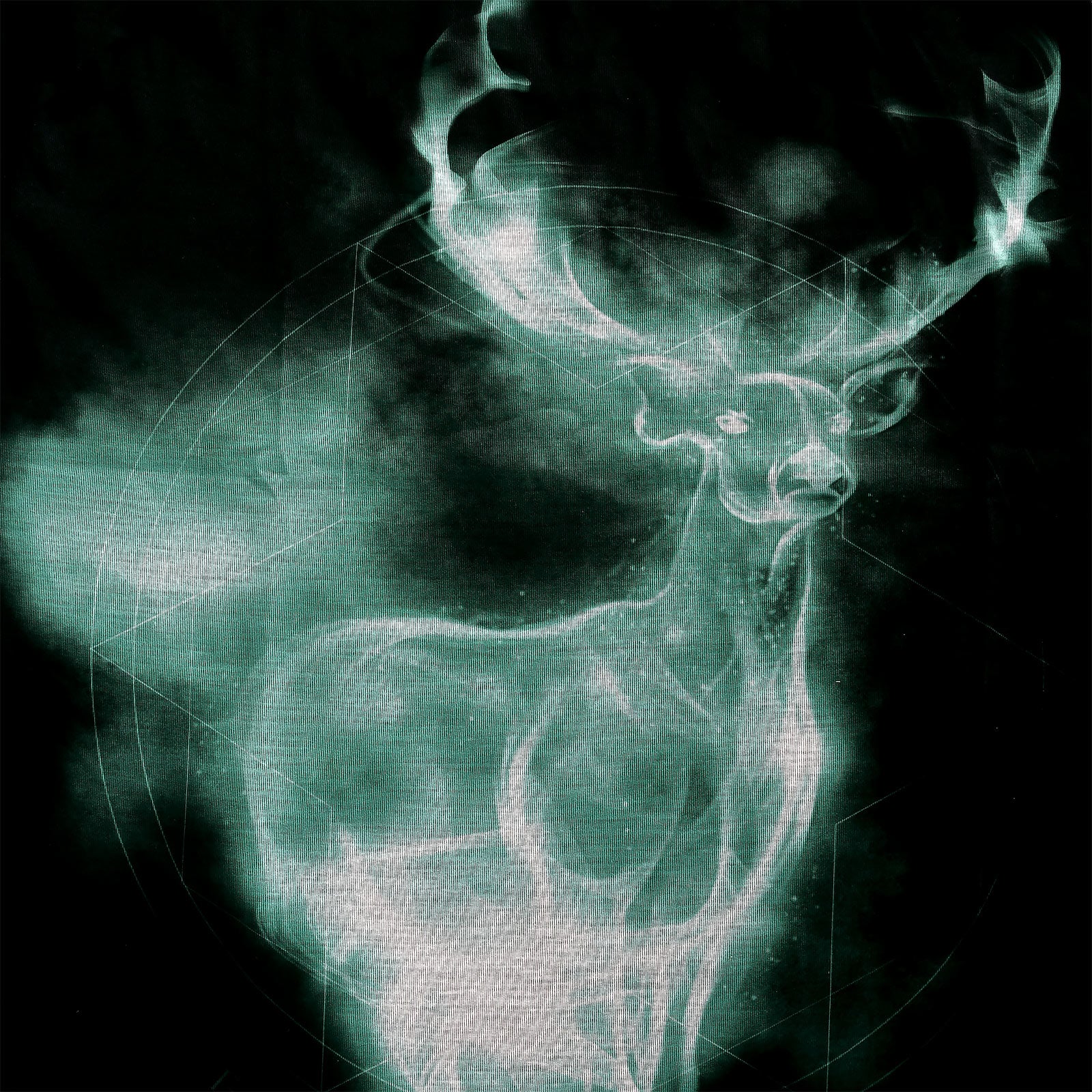 Produktbild Harry Potter - Patronus T-Shirt schwarz