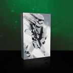 Produktbild Star Wars - Stormtrooper Wandbild mit Licht