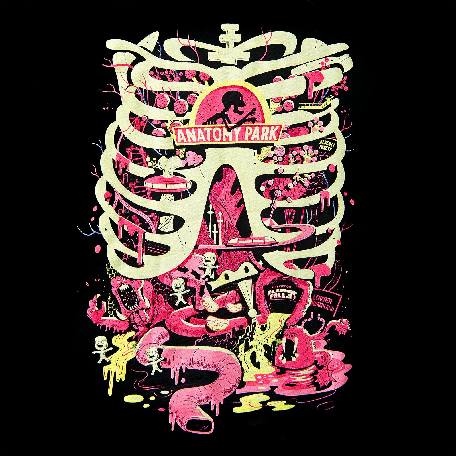Product image Rick and Morty - Anatomy Park T-Shirt black
