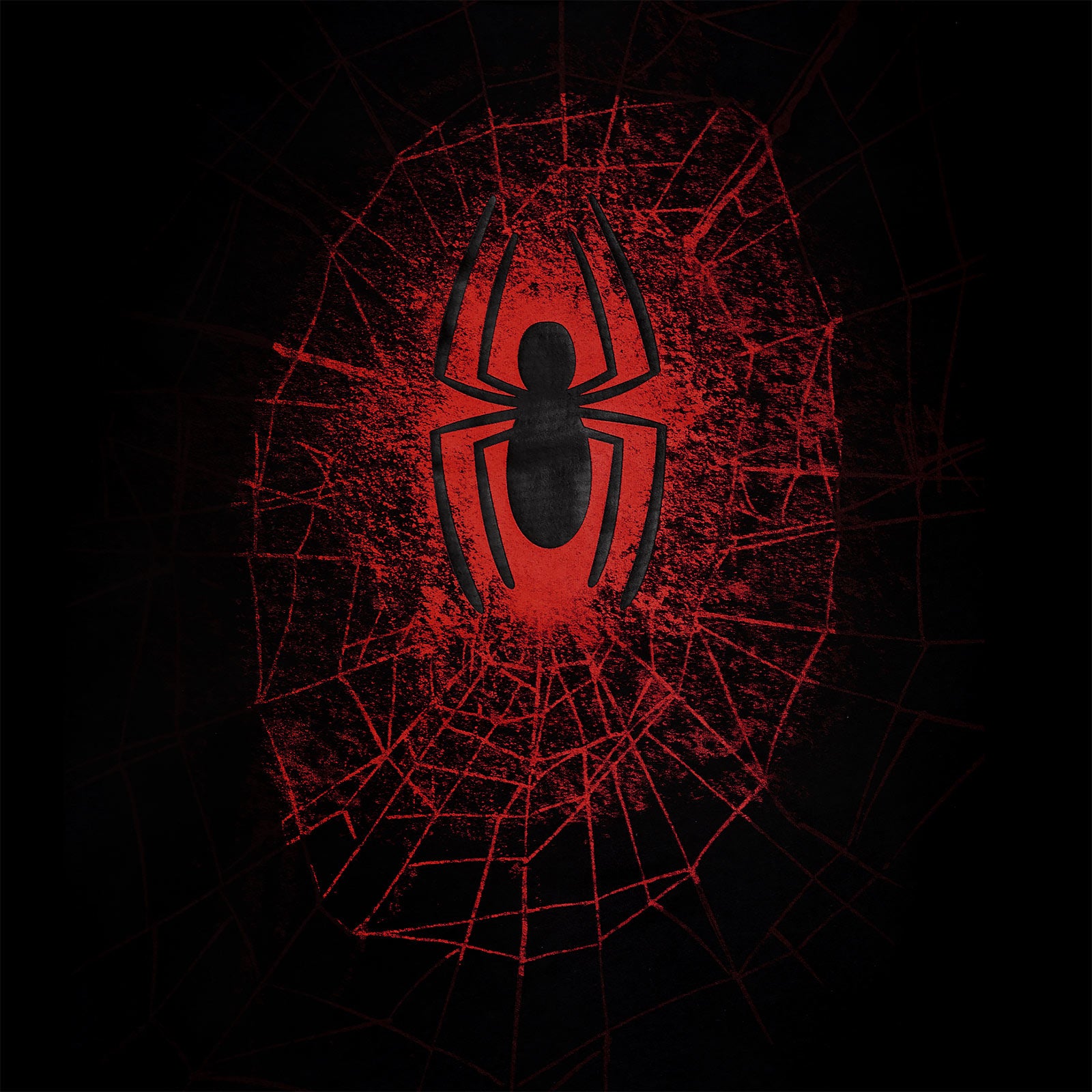 Produktbild Spider-Man - Spider Web T-Shirt schwarz