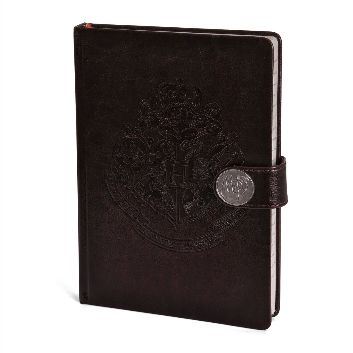 Produktbild Harry Potter - Hogwarts Premium Notizbuch A5