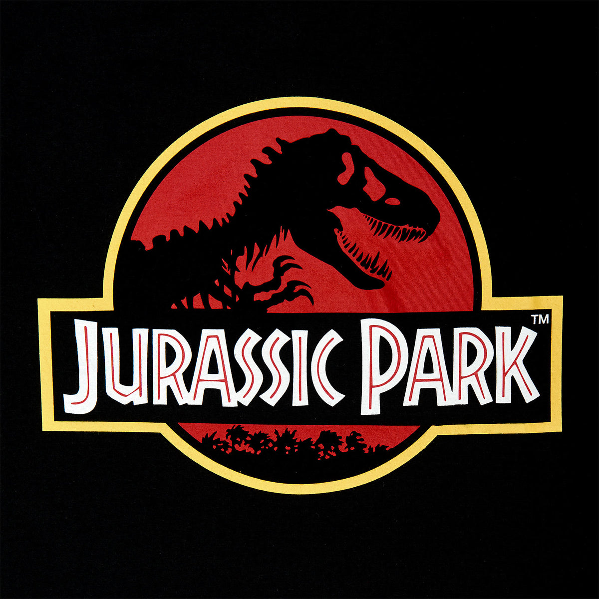 Produktbild Jurassic Park - Logo T-Shirt schwarz