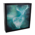 Produktbild Harry Potter - Patronus 3D Wandbild mit Licht