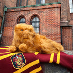Produktbild Harry Potter - Krummbein Plüsch Figur 43 cm
