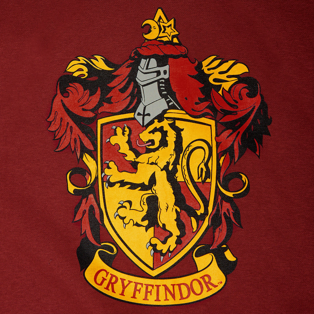 Produktbild Harry Potter - Gryffindor Wappen Hoodie