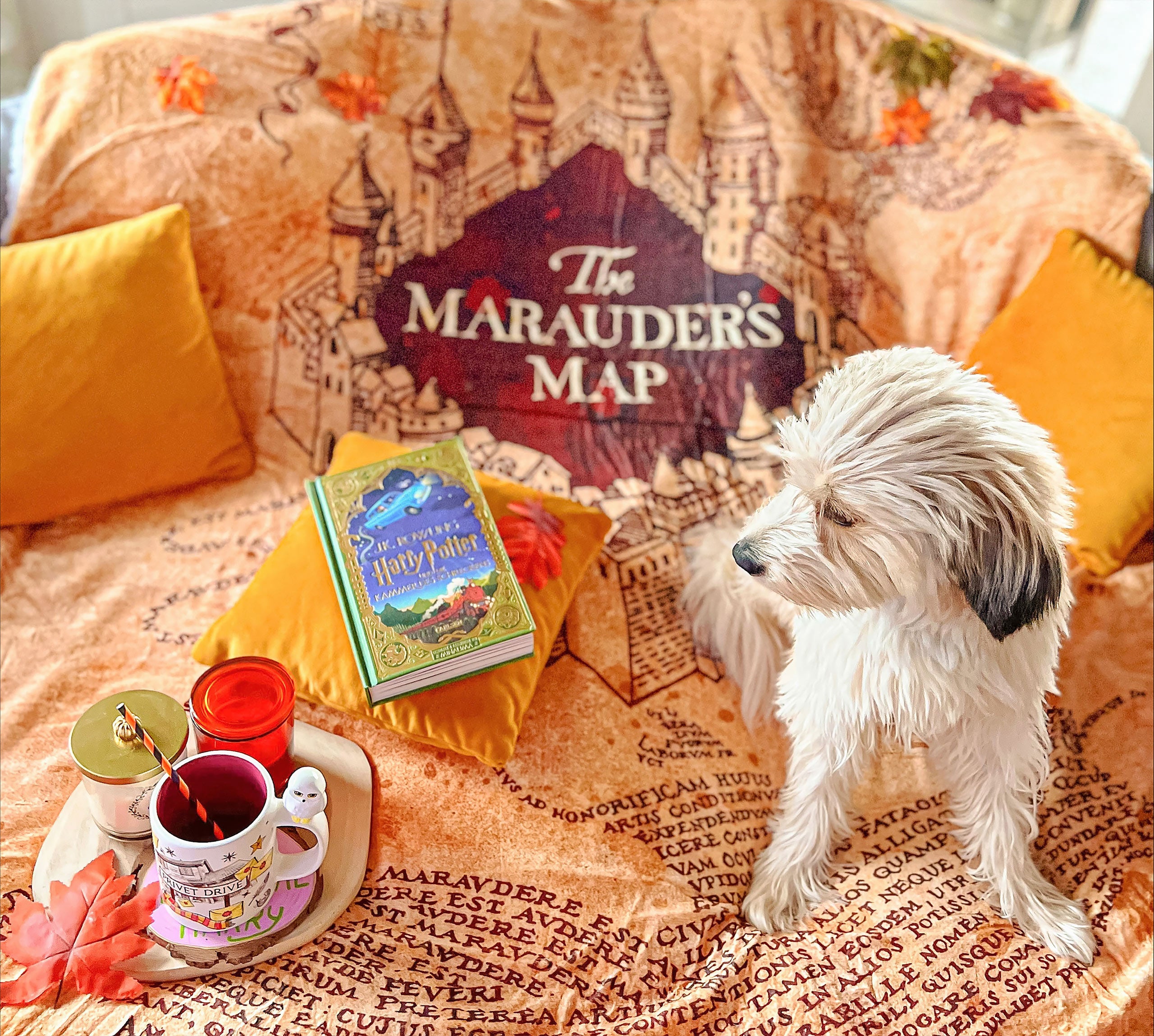 Produktbild Harry Potter - Karte des Rumtreibers Flauschdecke mit Teddyfell