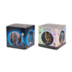 Produktbild Harry Potter & Phantastische Tierwesen - Mystery Cube Figur