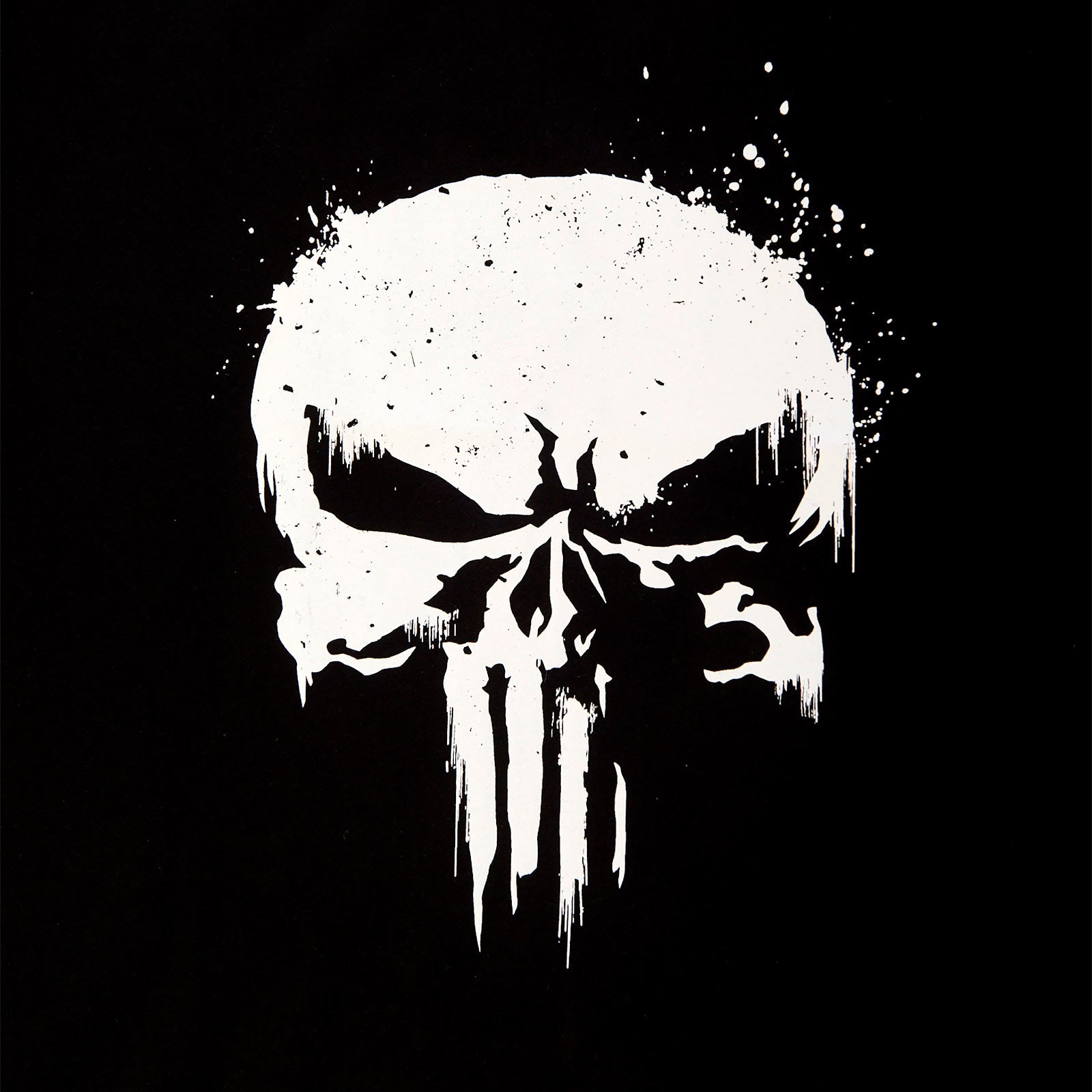 Produktbild Punisher - Skull Logo T-Shirt mit Ärmelprint schwarz