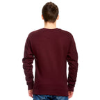 Produktbild Harry Potter - Team Gryffindor Sweater rot