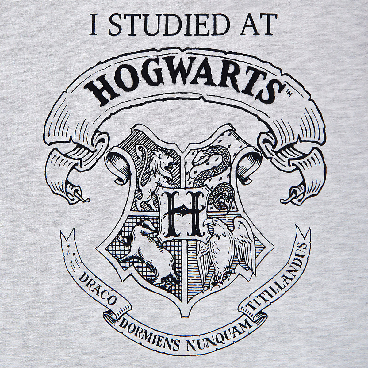 Produktbild Harry Potter - I Studied at Hogwarts Damen Sweater grau