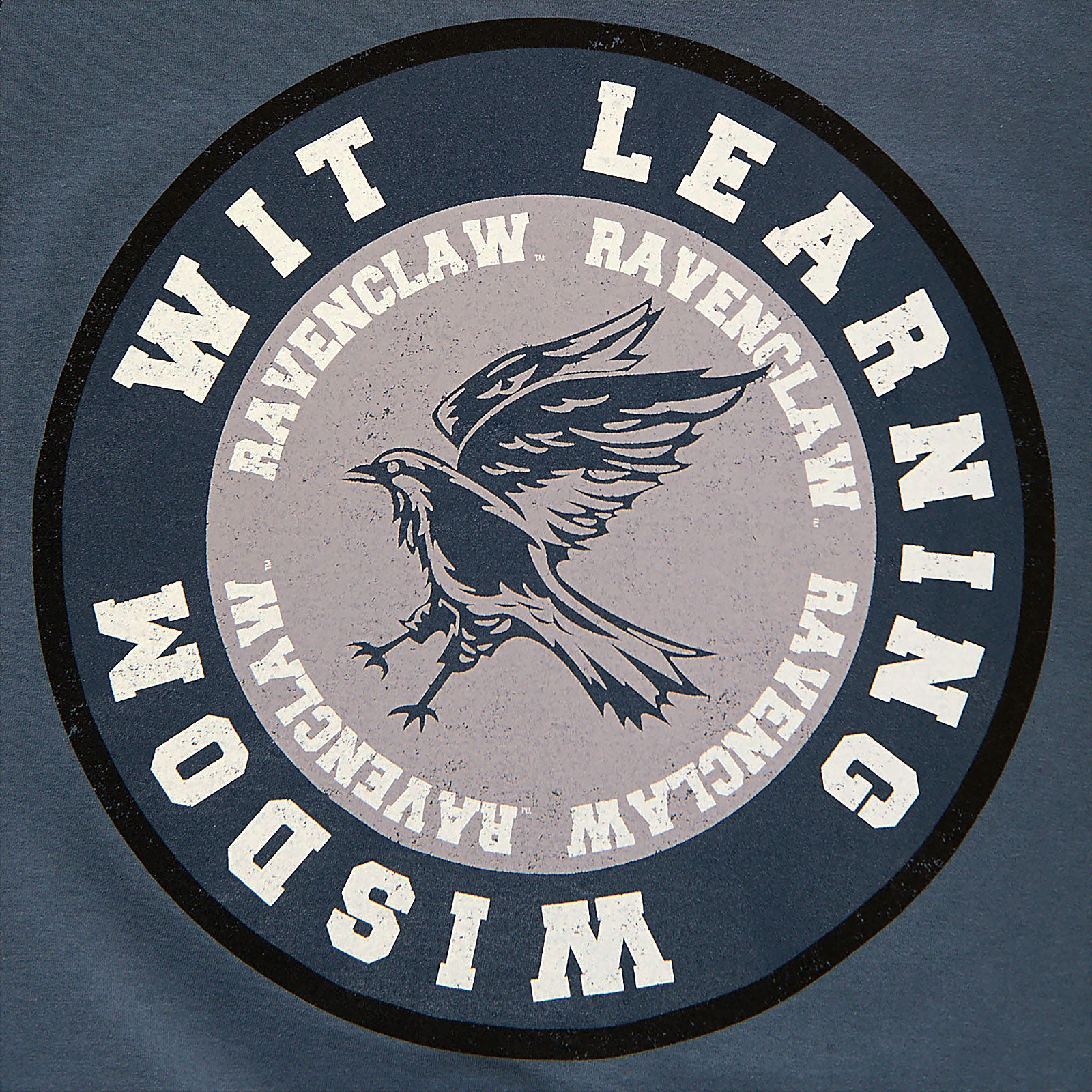 Produktbild Harry Potter - Ravenclaw Values T-Shirt blau