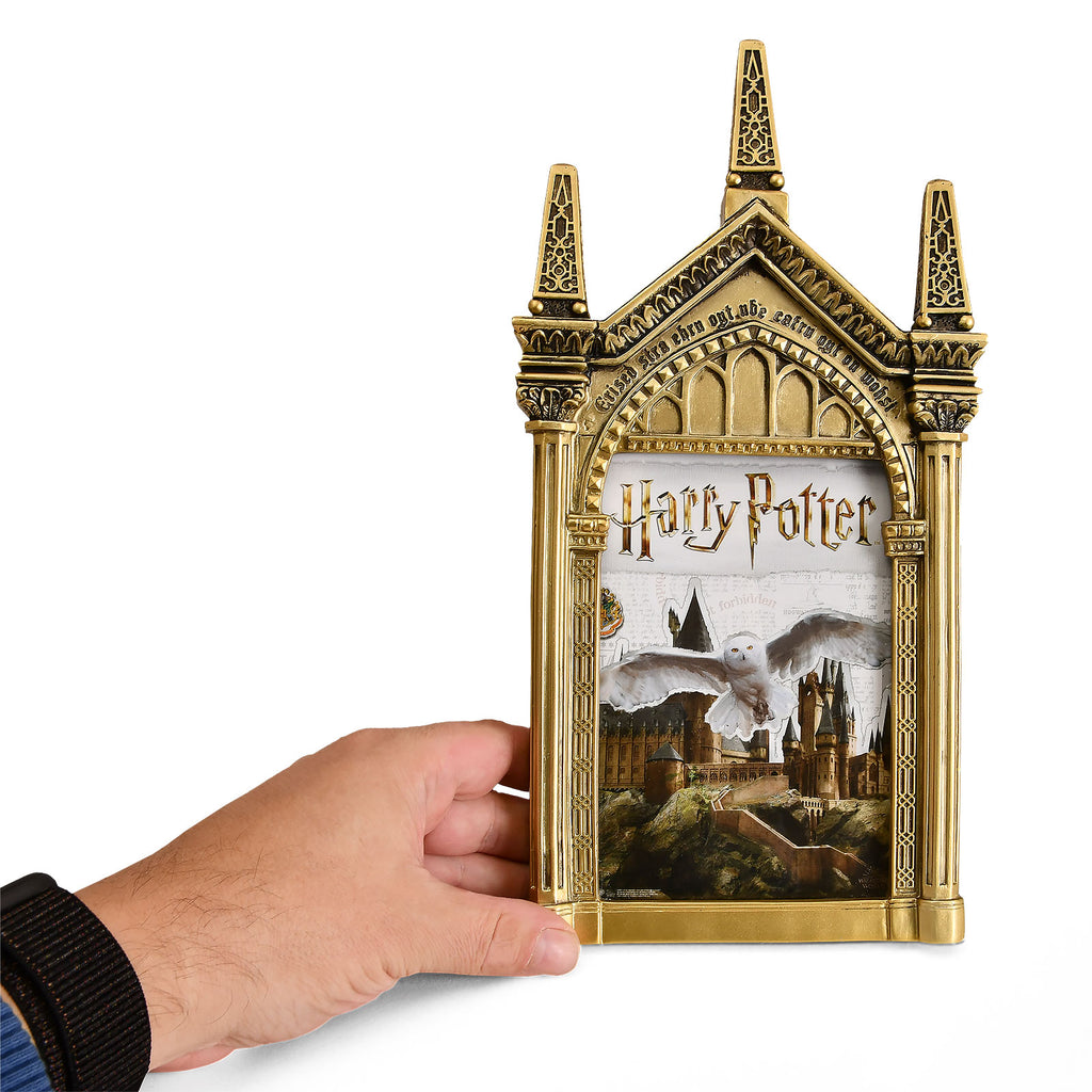 Produktbild Harry Potter - Spiegel Nerhegeb Bilderrahmen