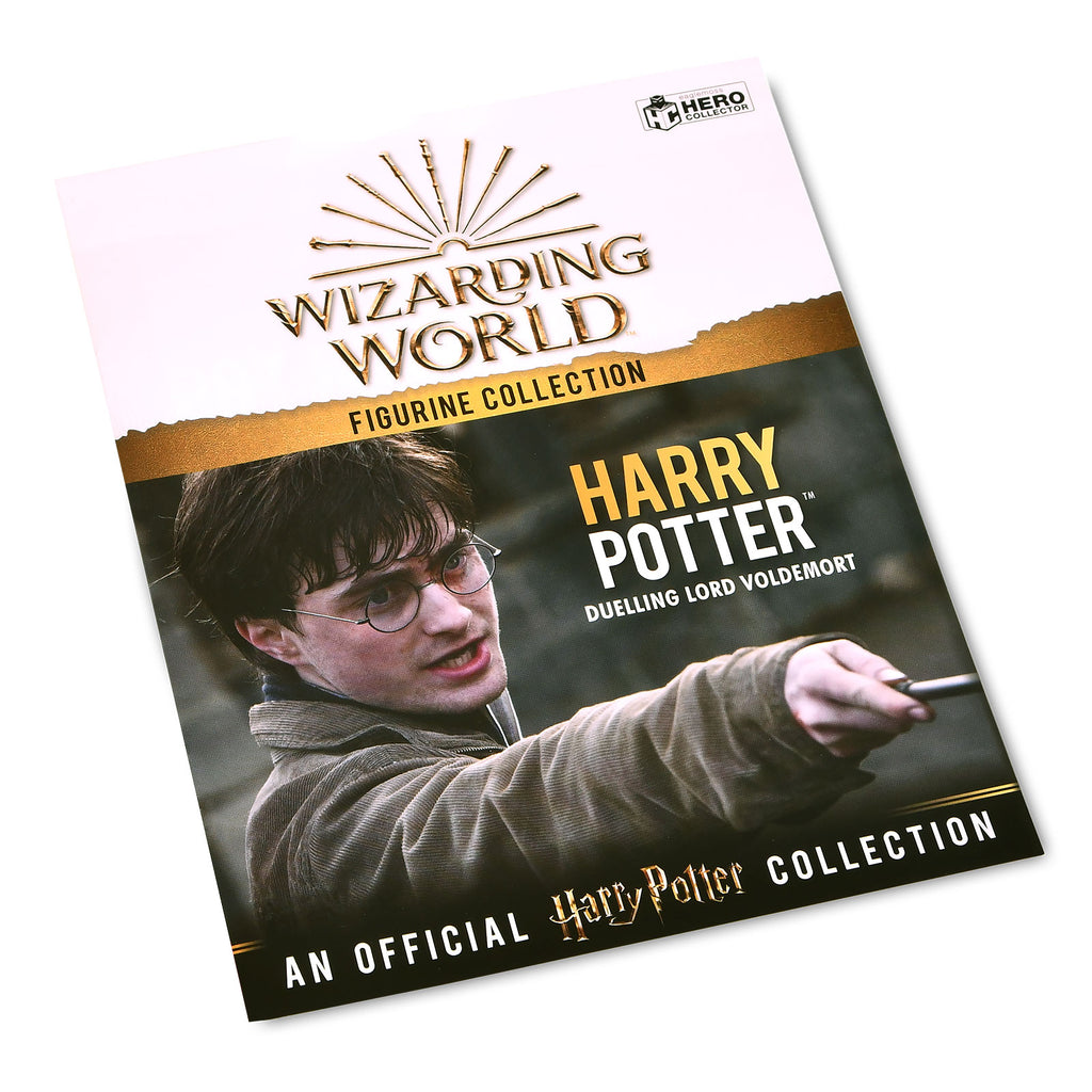 Product image Harry Potter Hero Collector figure 11 cm