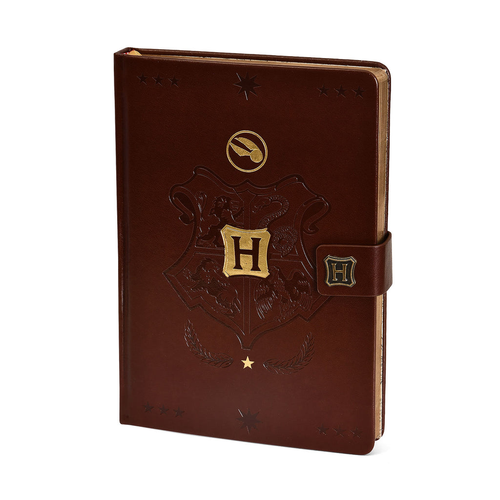 Produktbild Harry Potter - Hogwarts Quidditch Premium Notizbuch A5