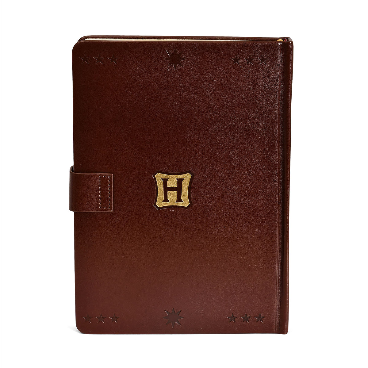 Produktbild Harry Potter - Hogwarts Quidditch Premium Notizbuch A5