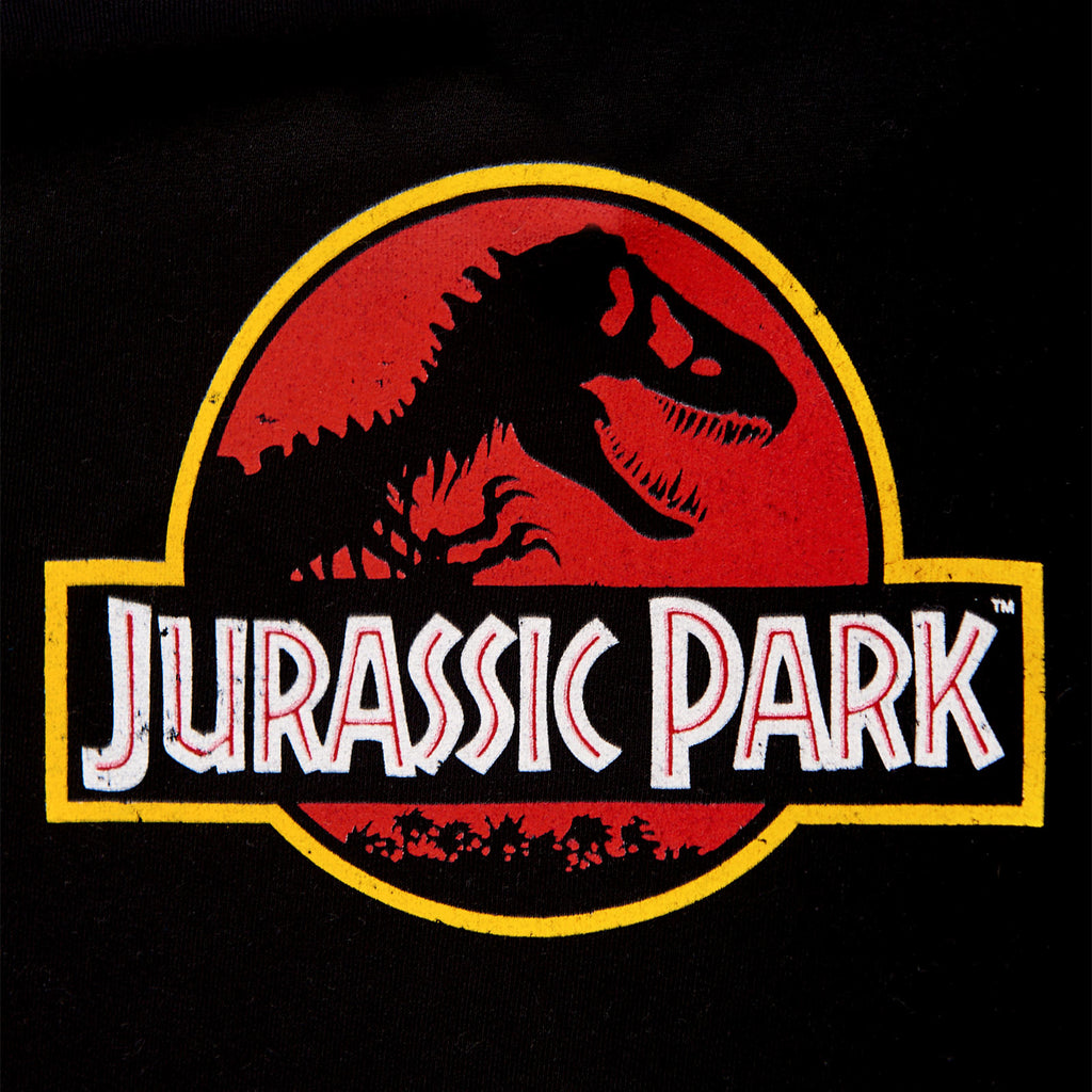 Produktbild Jurassic Park - Movie Logo Kinder Hoodie schwarz