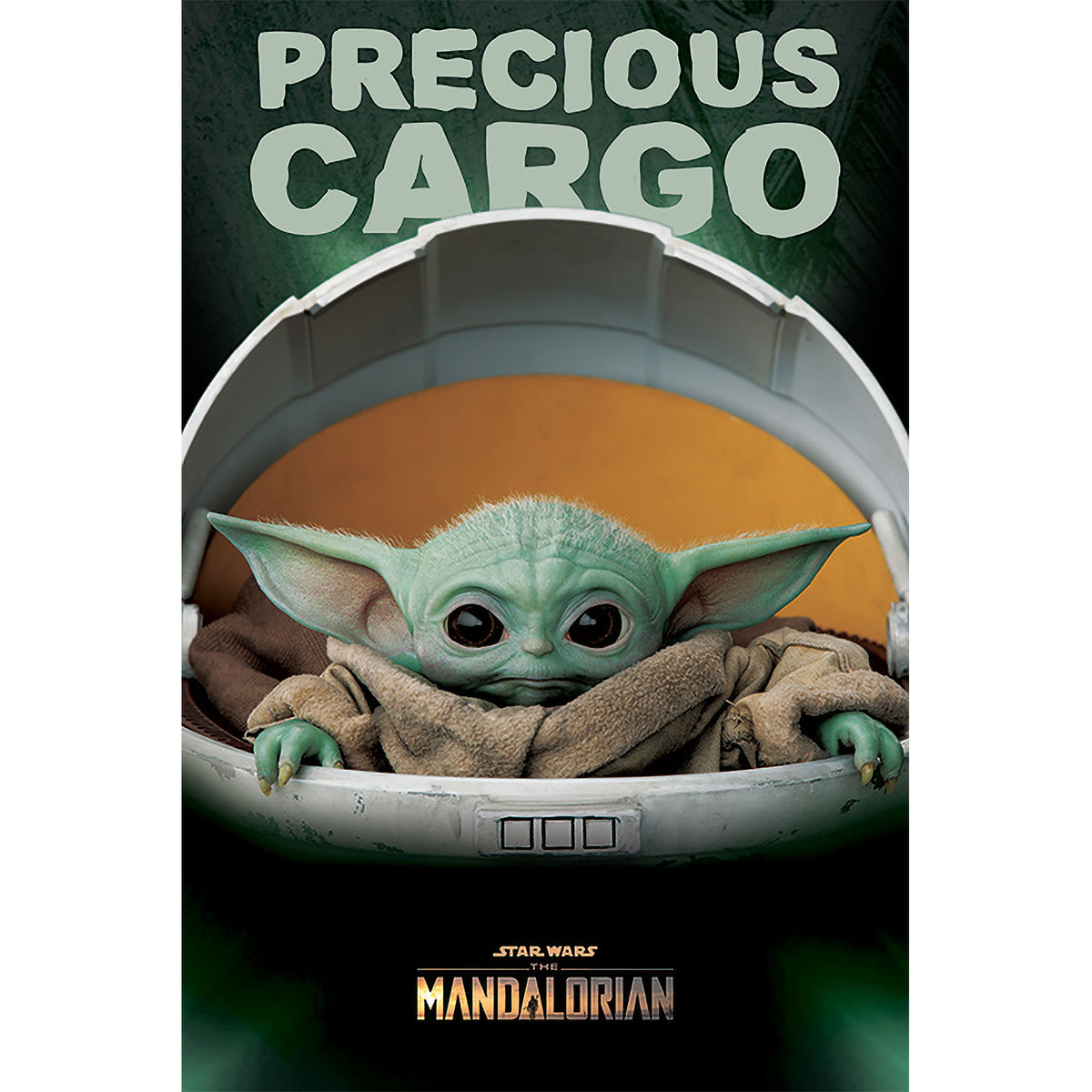 Produktbild The Child Precious Cargo Maxi Poster - Star Wars The Mandalorian