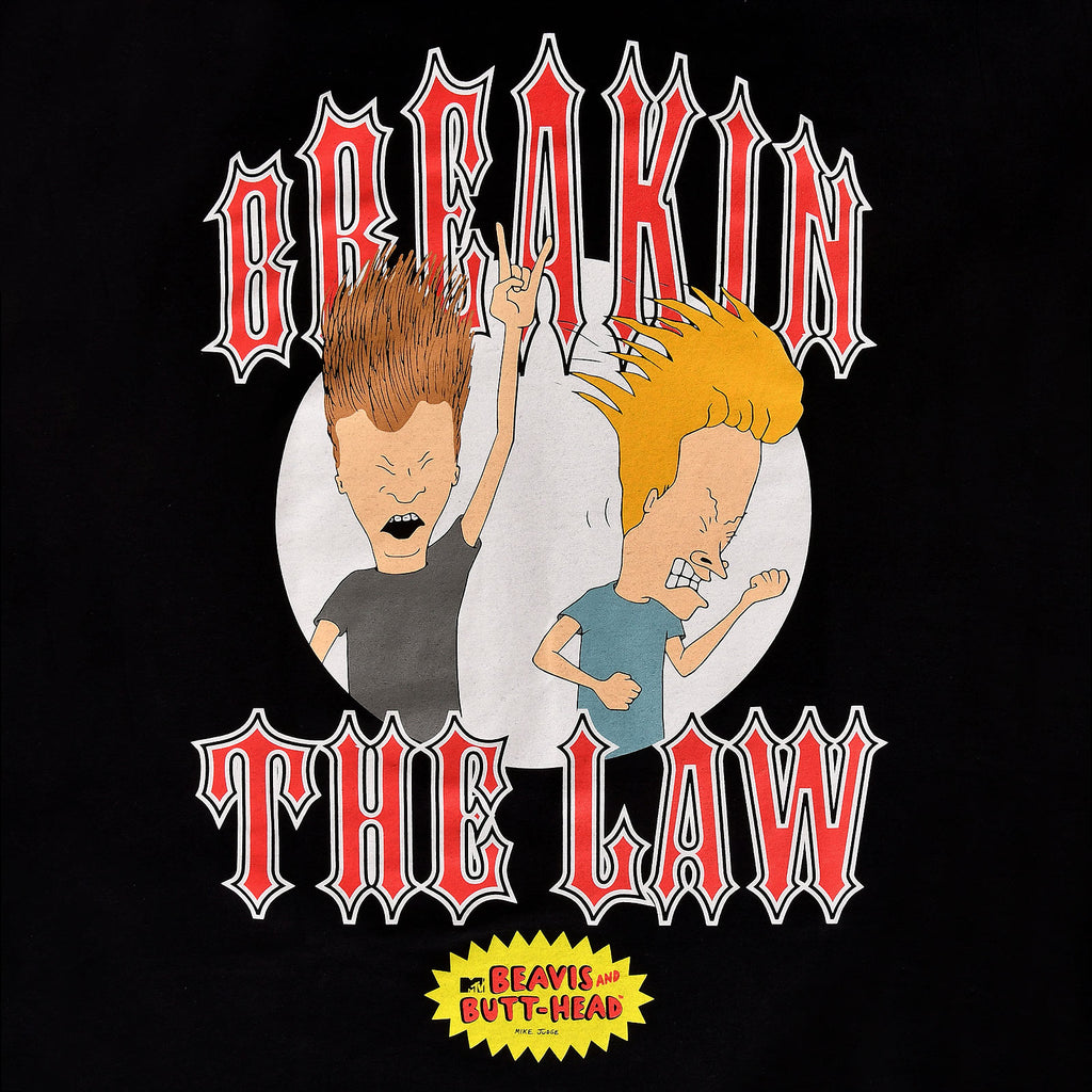 Produktbild Beavis and Butt-Head - Breaking the Law T-Shirt schwarz