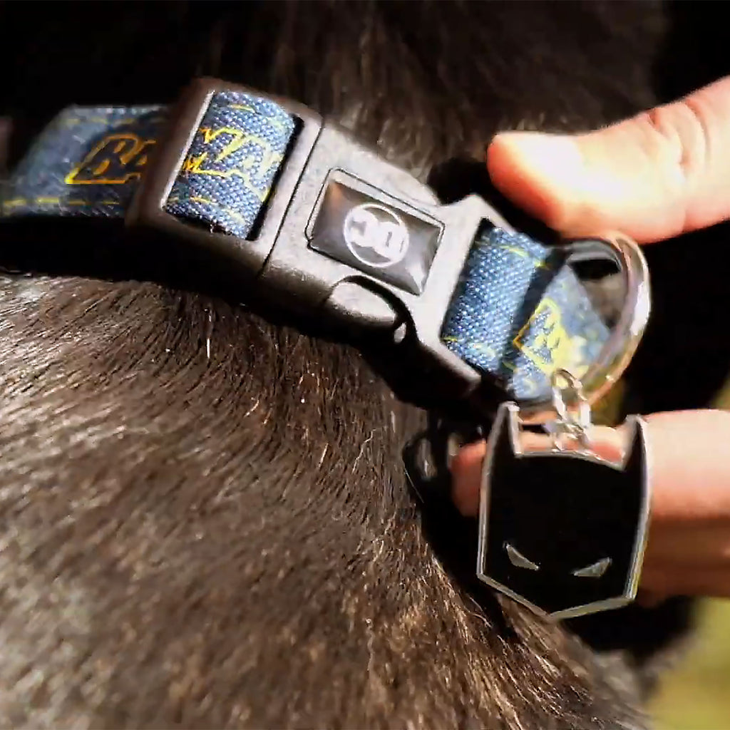 Produktbild Batman Klick-Halsband für Hunde blau