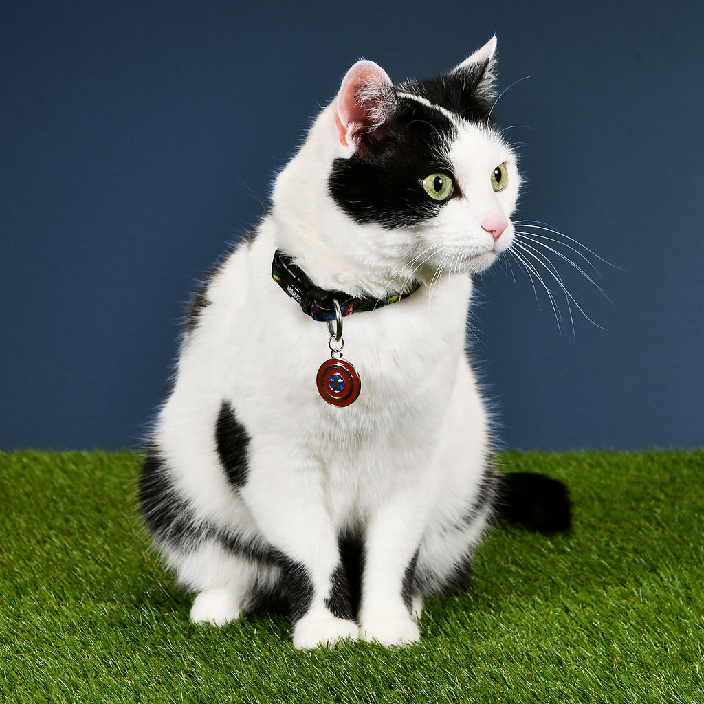 Produktbild Avengers - Comic Heroes Klick-Halsband für Hunde
