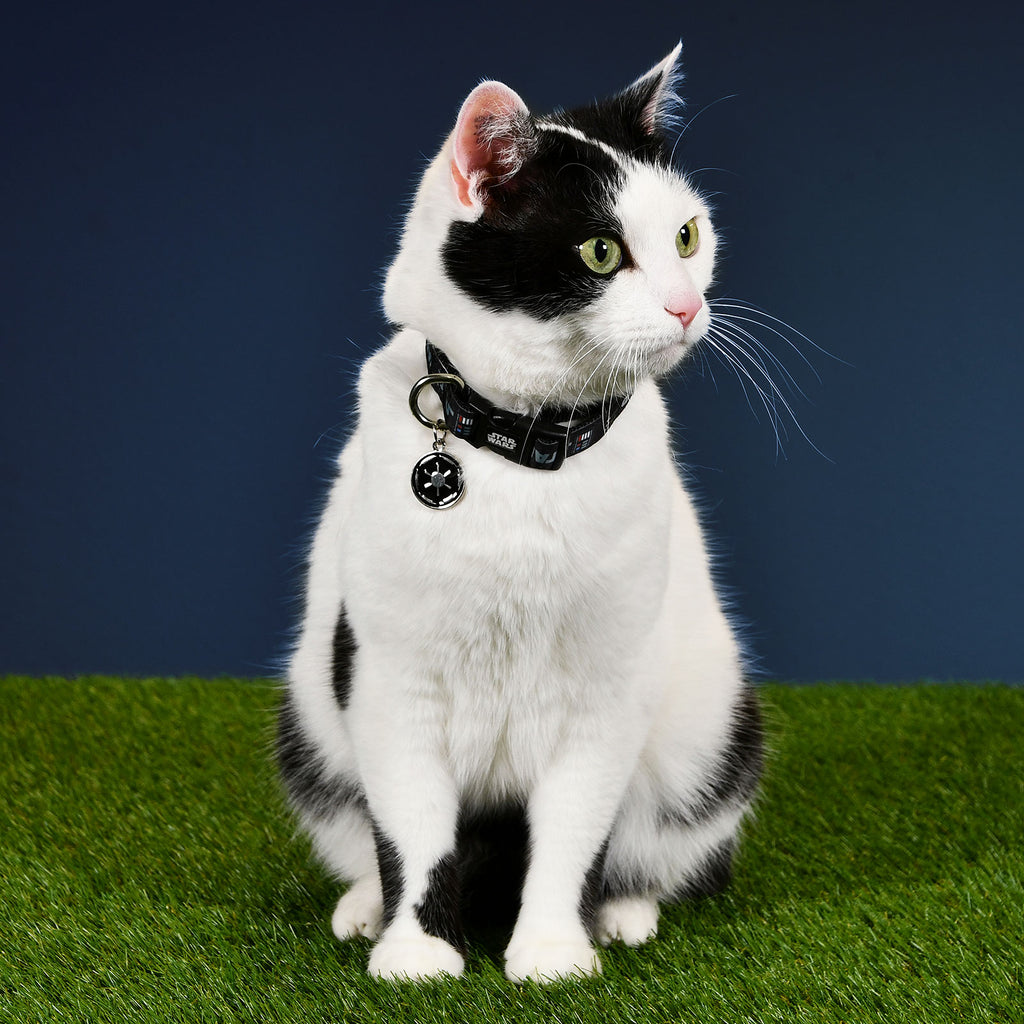 Produktbild Star Wars - Darth Vader Klick-Halsband für Hunde schwarz