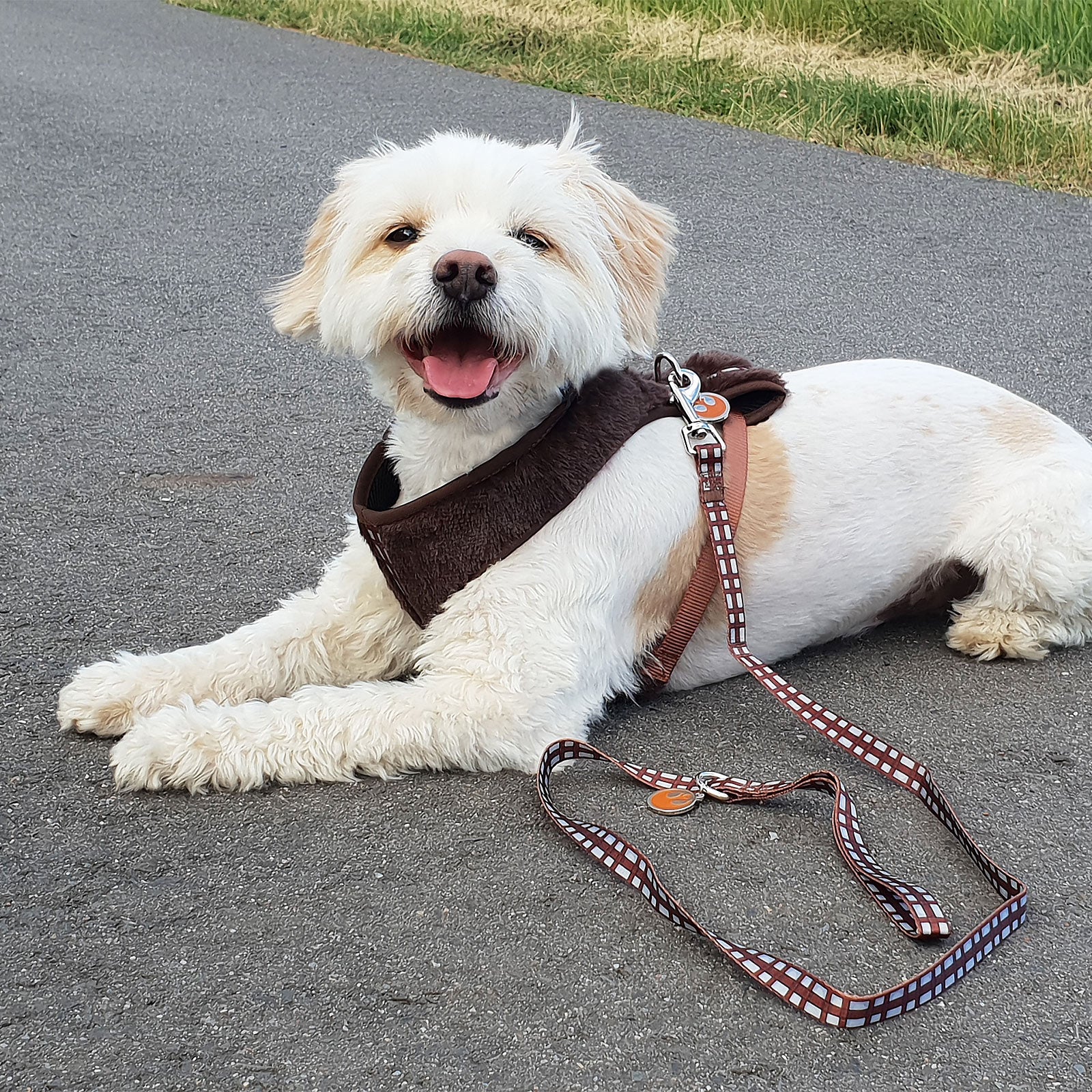 Produktbild Star Wars - Chewbacca Hundegeschirr braun