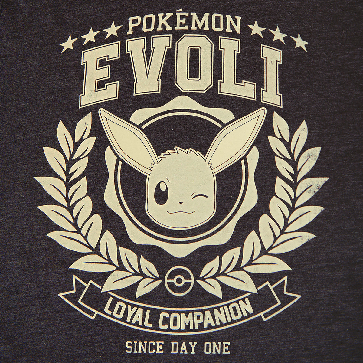 Produktbild Pokemon - Evoli Loyal Companion T-Shirt grau