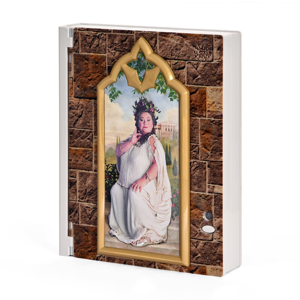 Produktbild Harry Potter - Fette Dame Box mit Notizblock und Passwort