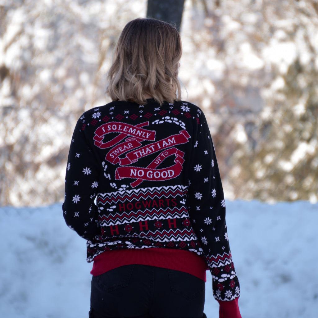 Produktbild Harry Potter - Karte des Rumtreibers Strickpullover