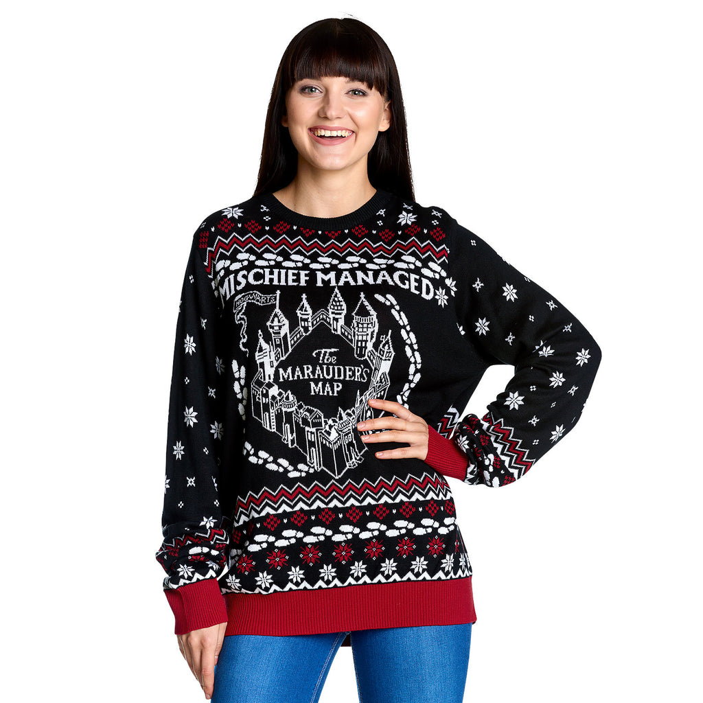Produktbild Harry Potter - Karte des Rumtreibers Strickpullover