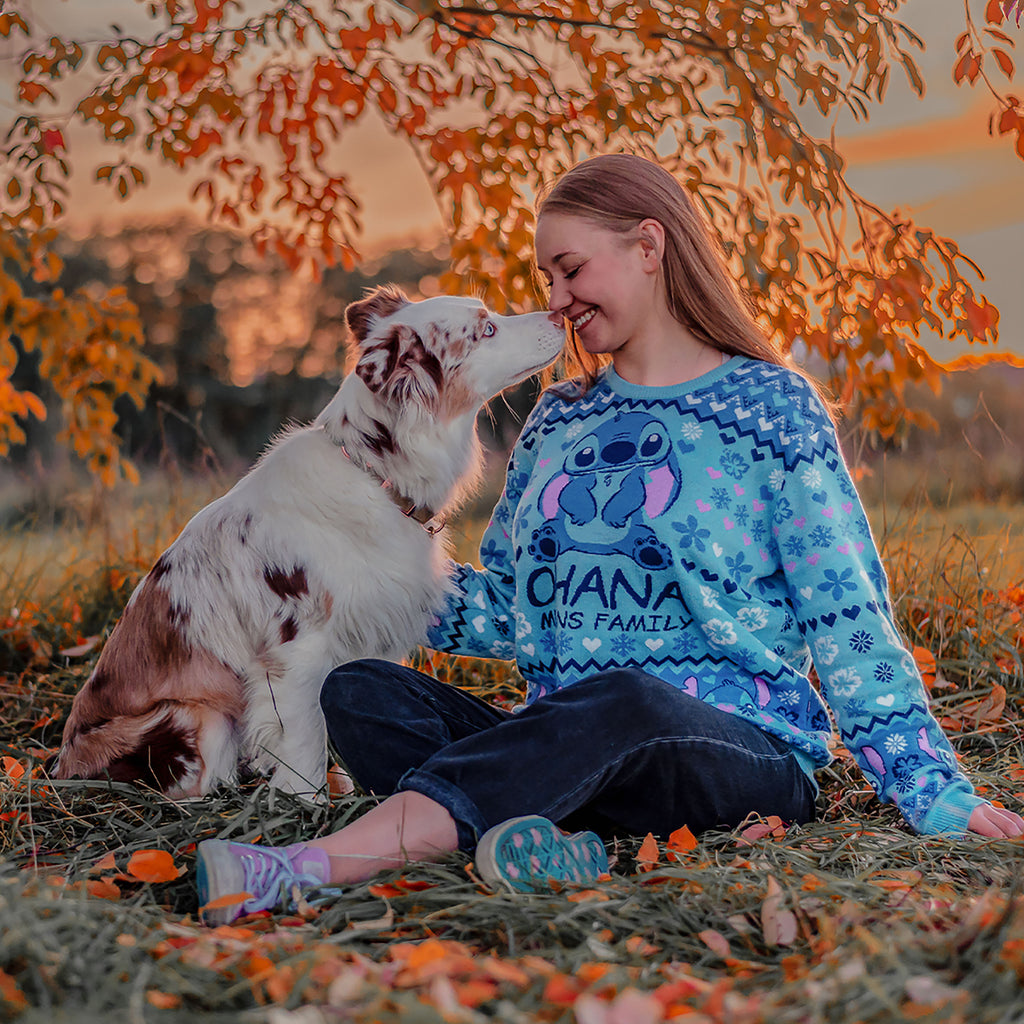 Produktbild Lilo & Stitch - Ohana Means Family Strickpullover