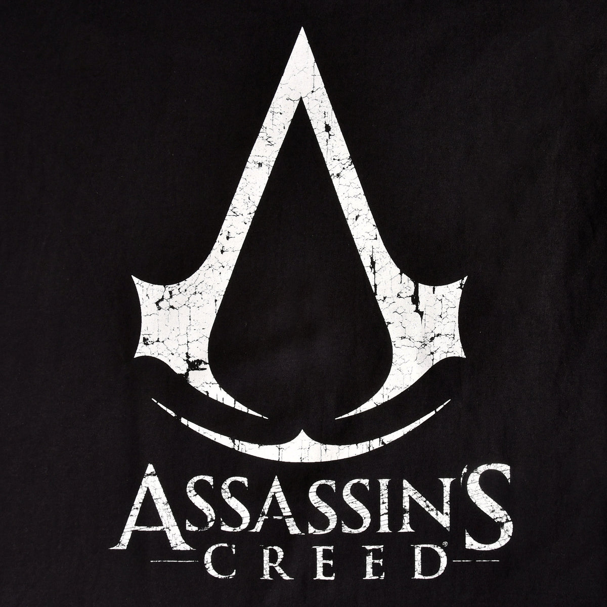 Product image Assassin's Creed - Cracked Logo T-Shirt black