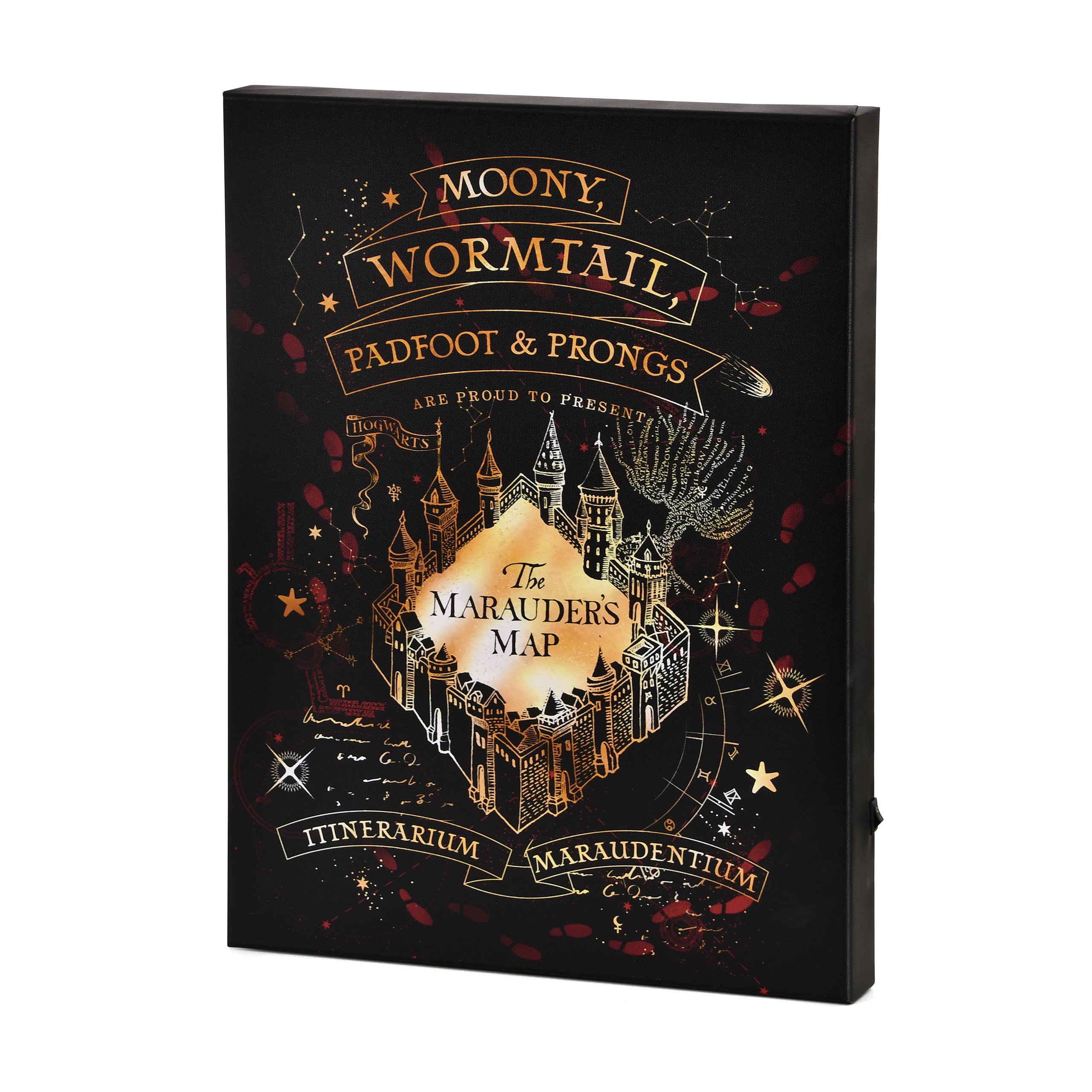 Produktbild Harry Potter - Karte des Rumtreibers Wandbild mit Licht