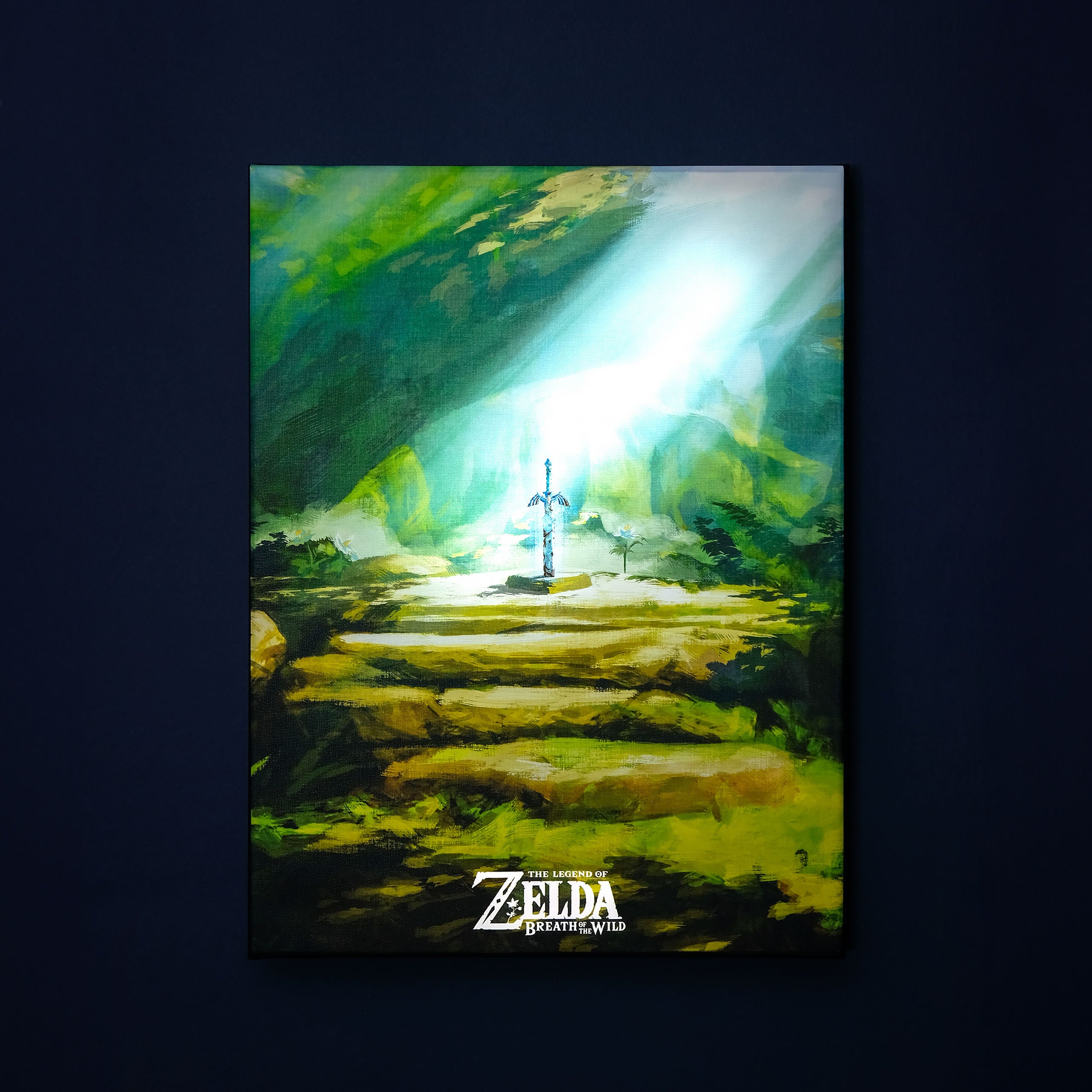 Produktbild Zelda - Masterschwert Wandbild mit Licht