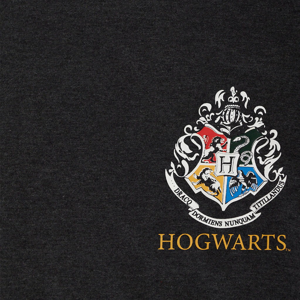 Produktbild Hufflepuff Sucher Diggory Oversize T-Shirt Damen grau - Harry Potter