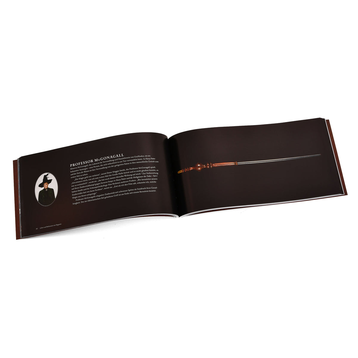 Produktbild Harry Potter - Das Buch der Zauberstäbe Geschenkset