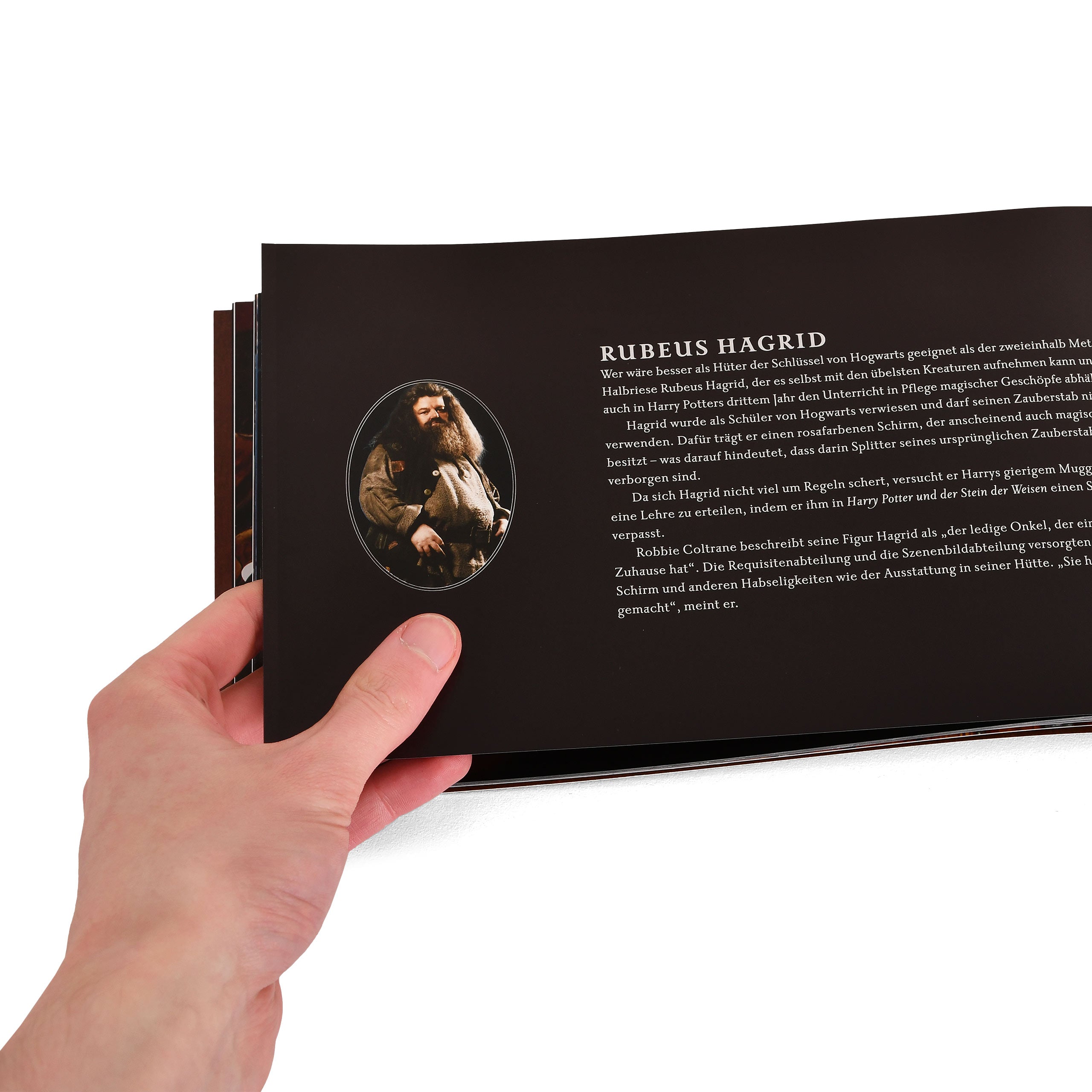 Produktbild Harry Potter - Das Buch der Zauberstäbe Geschenkset