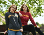 Produktbild Harry Potter - Hufflepuff College Sweater grau