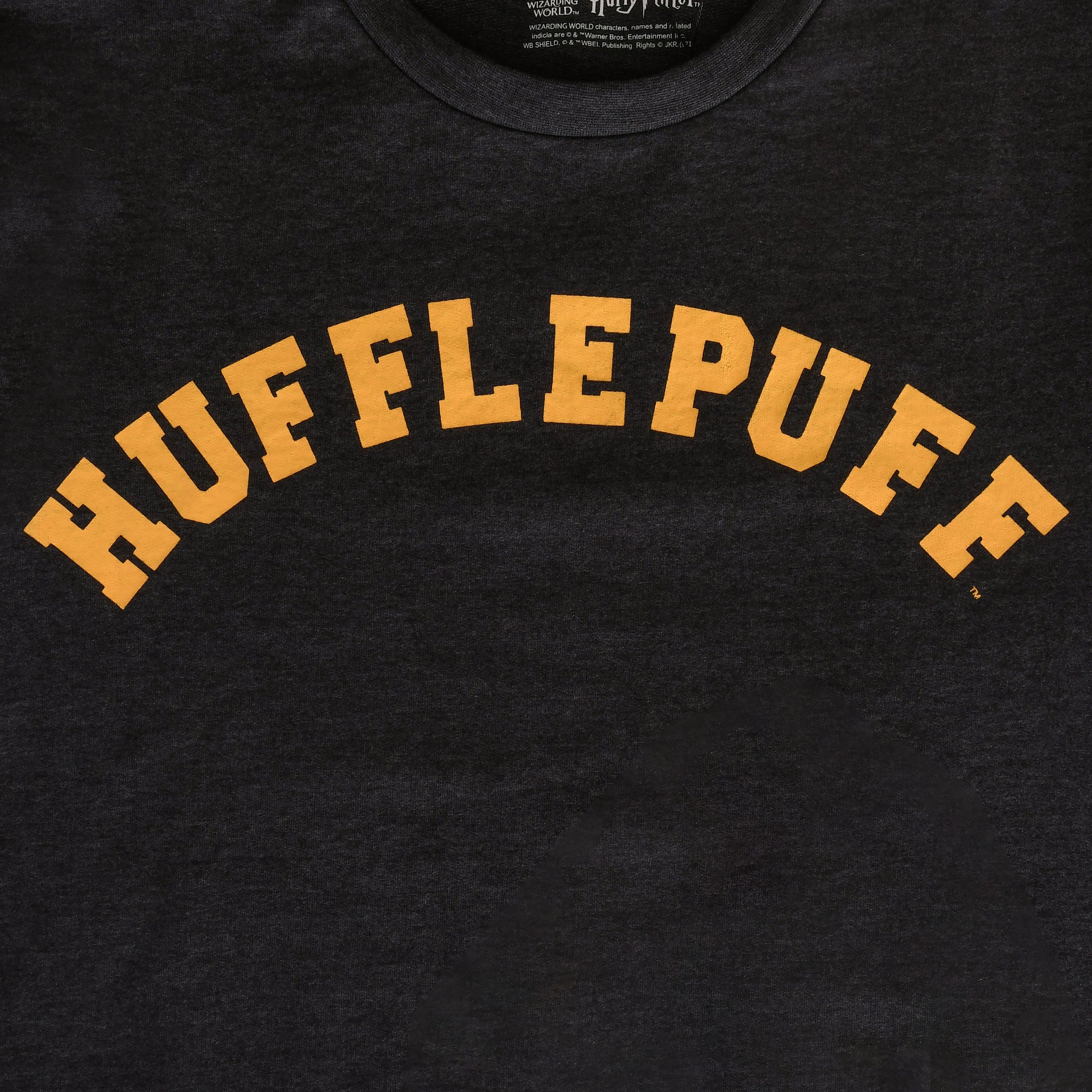 Produktbild Harry Potter - Hufflepuff College Sweater grau