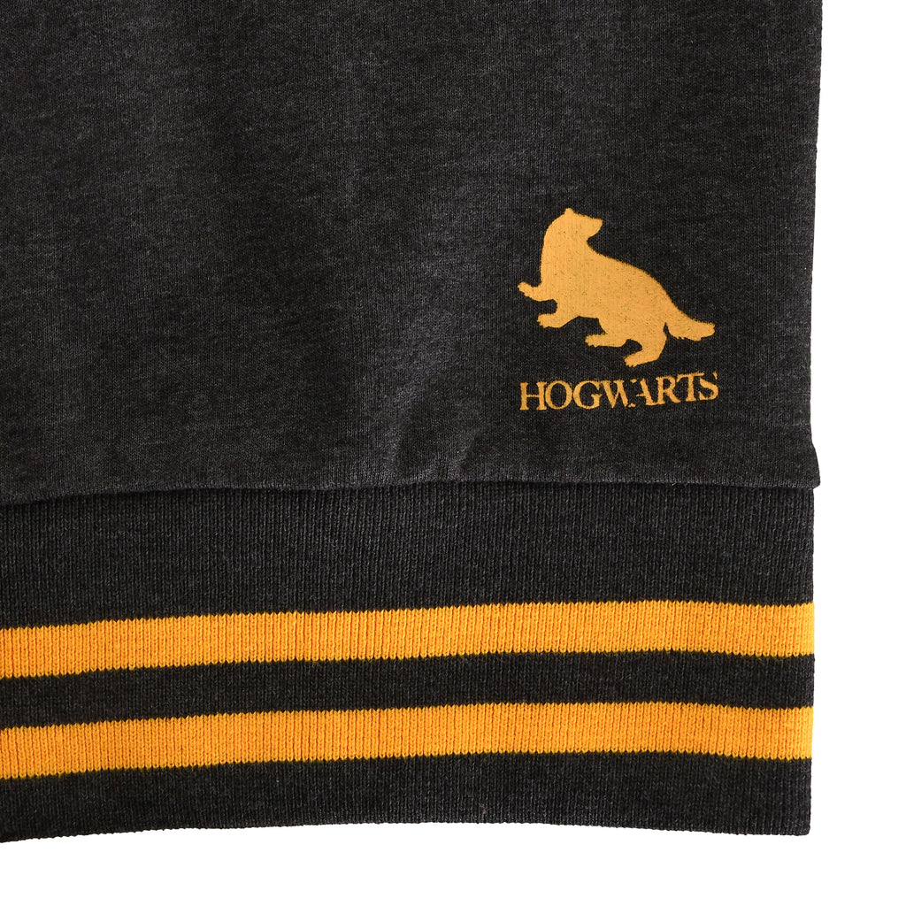 Produktbild Harry Potter - Hufflepuff College Sweater grau